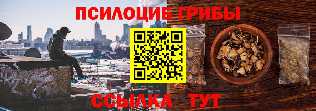 Галлюциногенные грибы Magic Shrooms  сколько стоит  Выборг  Вход с VPN 