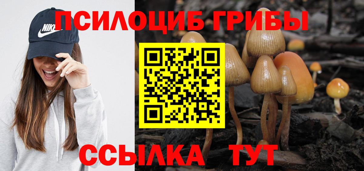 Галлюциногенные грибы Magic Shrooms Выборг